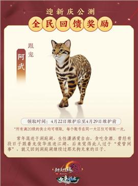 岳阳天龙八部私服
